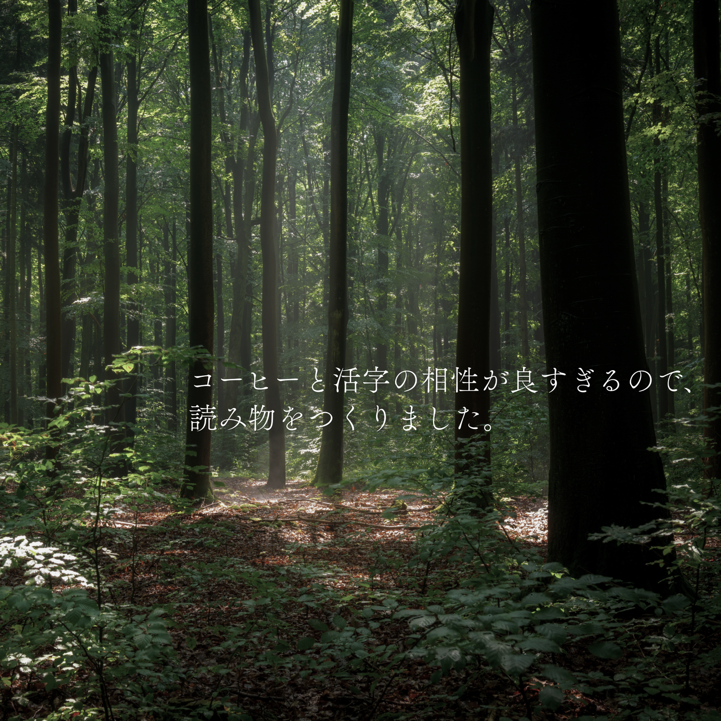 HIBINI-SASHIIRO magazine issue:01『抽出』